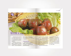 農產品平面設計與ZCOOL平臺上的ZCL木偶風格書裝藝術