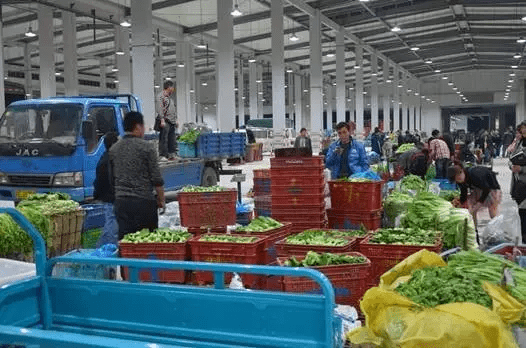 走遍上海不用愁！《上海生活指南 農產品篇》