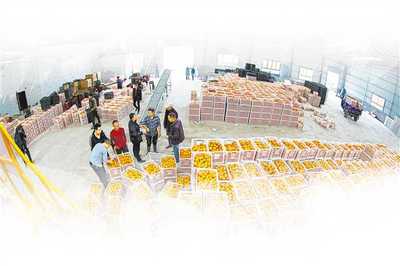 重慶農產品出口能否走‘特而美’之路