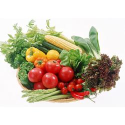 深圳市加工農產品產業鏈 批發、供應與廠家解析