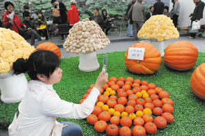 營養價格齊翻番 農產品深加工如何點土成金