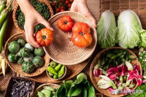 政策東風勁吹，九大模式引領農村電商新變革