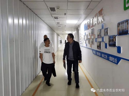 市農業農村局深入一線開展農產品加工業調研指導，助力產業提質增效