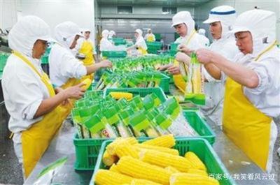 從大蒜之痛到農業之穩 如何構建農產品價格“減震器”