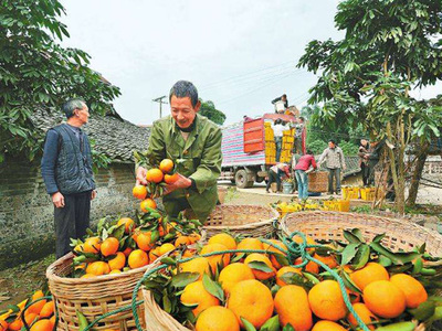 電商時(shí)代下，農(nóng)產(chǎn)品實(shí)體店的生存之道與發(fā)展機(jī)遇
